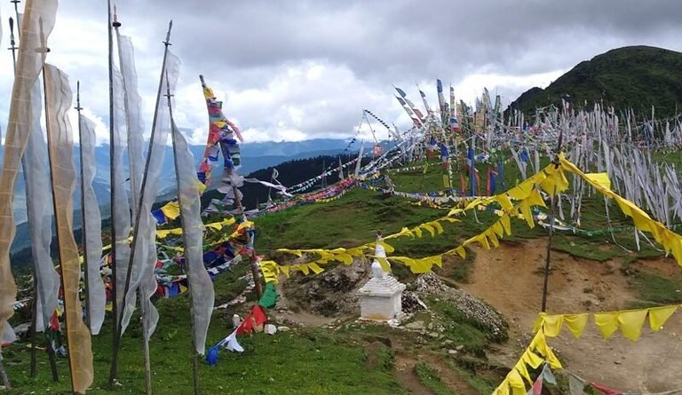 Chelela Pass Bhutan